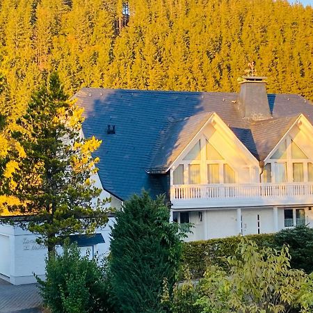 Landhaus Muehlenberg Willingen  Esterno foto