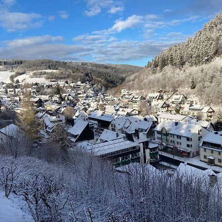 Landhaus Muehlenberg Willingen  Esterno foto