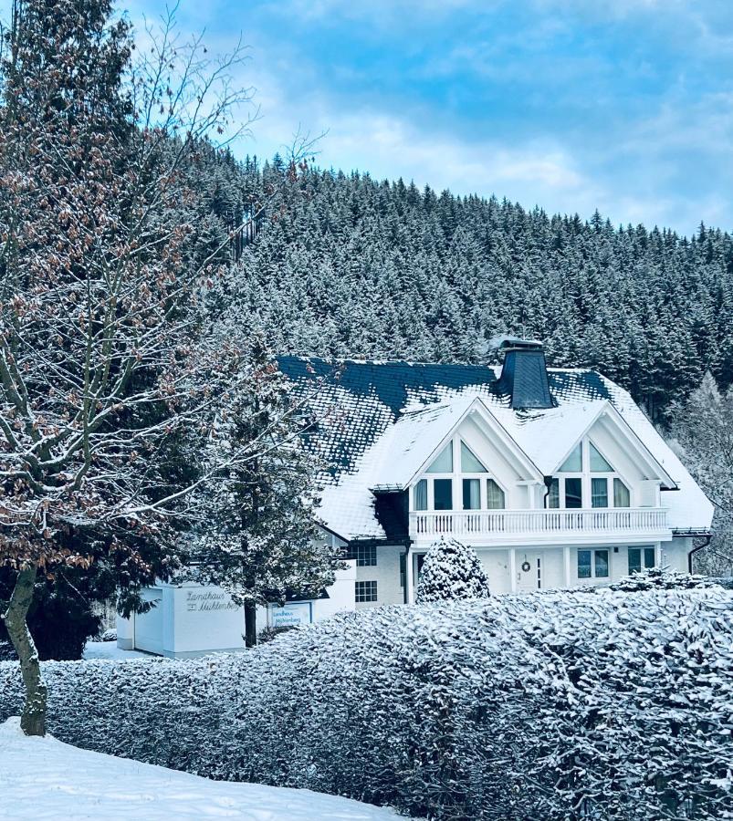Landhaus Muehlenberg Willingen  Esterno foto